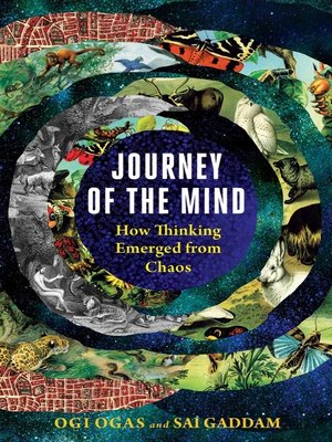cover image of Journey of the Mind